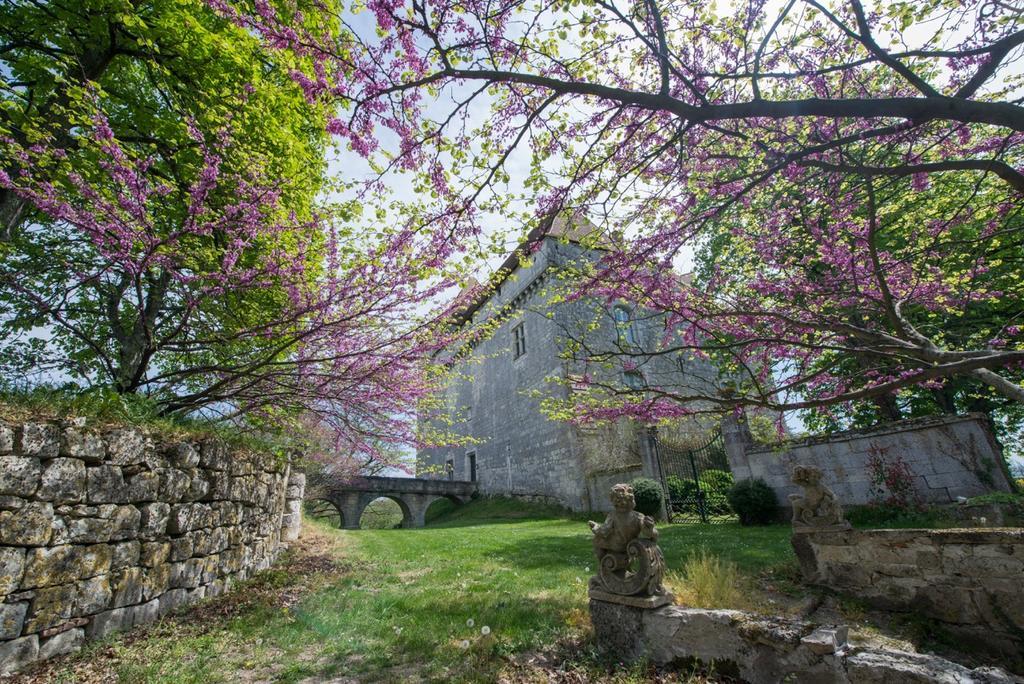 Chateau De Goudourville Vila Exterior foto
