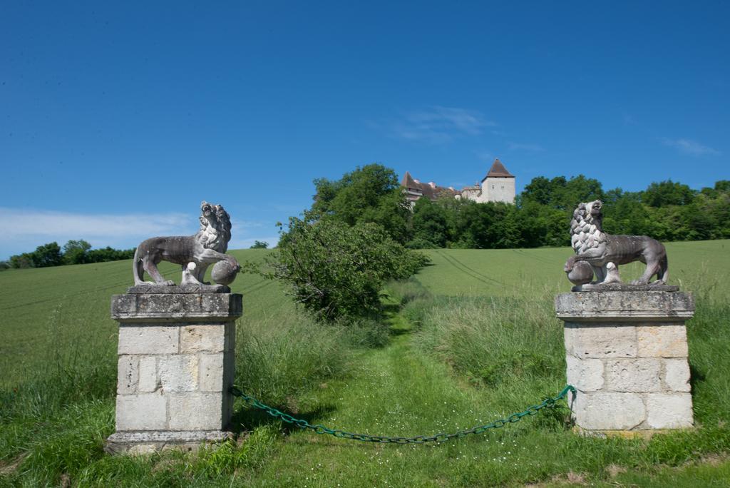 Chateau De Goudourville Vila Exterior foto